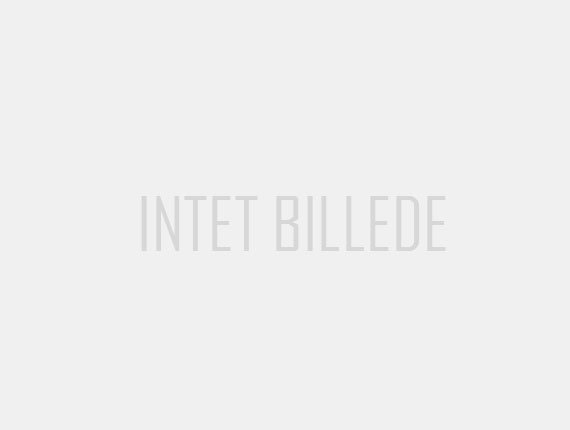 {{ 'Intet billede' | translate }}